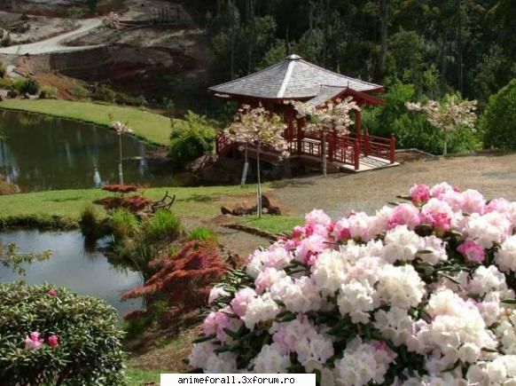 Galerie! - Sora Negino - ~Japonia tara ciresilor in floare~