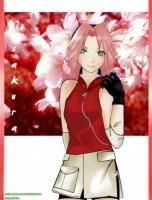 Sakura Haruno - sasuke - ~Naruto~