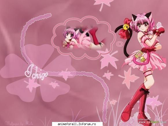 mew ichigo - sasuke - ~Mew Mew Power~